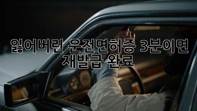 잃어버린 운전면허증? 3분이면 재발급 완료!
